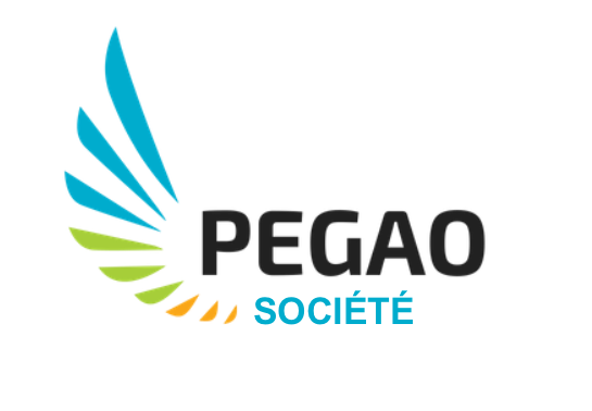 logo pegao société