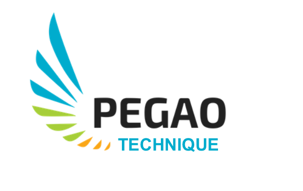 logo pegao technique