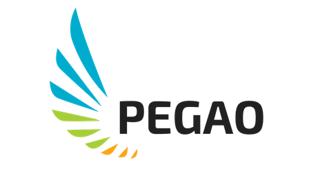 logo pegao origine